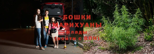 ГАЛЛЮЦИНОГЕННЫЕ ГРИБЫ Арсеньев