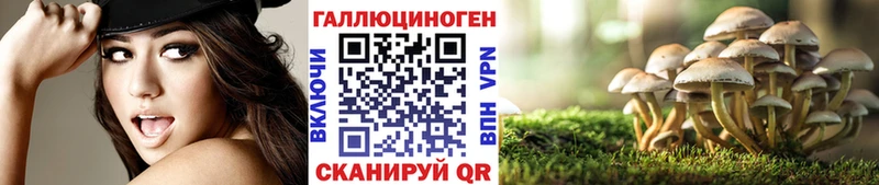 Псилоцибиновые грибы ЛСД  купить  цена  Судак 